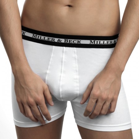 Gr. L: Box Trend Boxer weiss